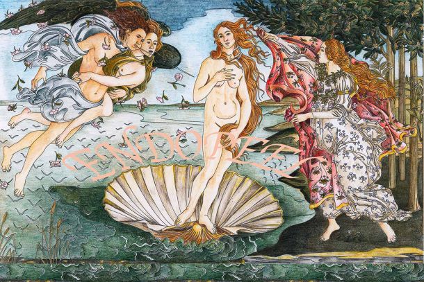 introduction of endopeel