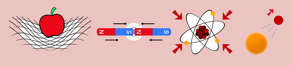 fundamental-sciences