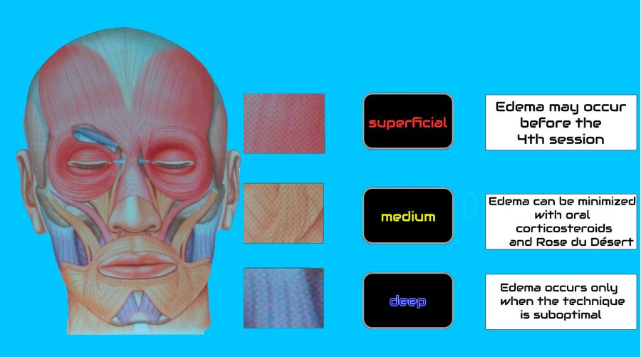 depth of face muscles